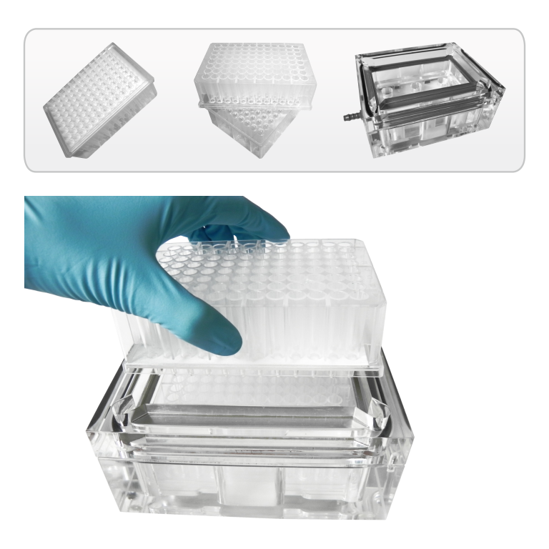 Microfilter Plate