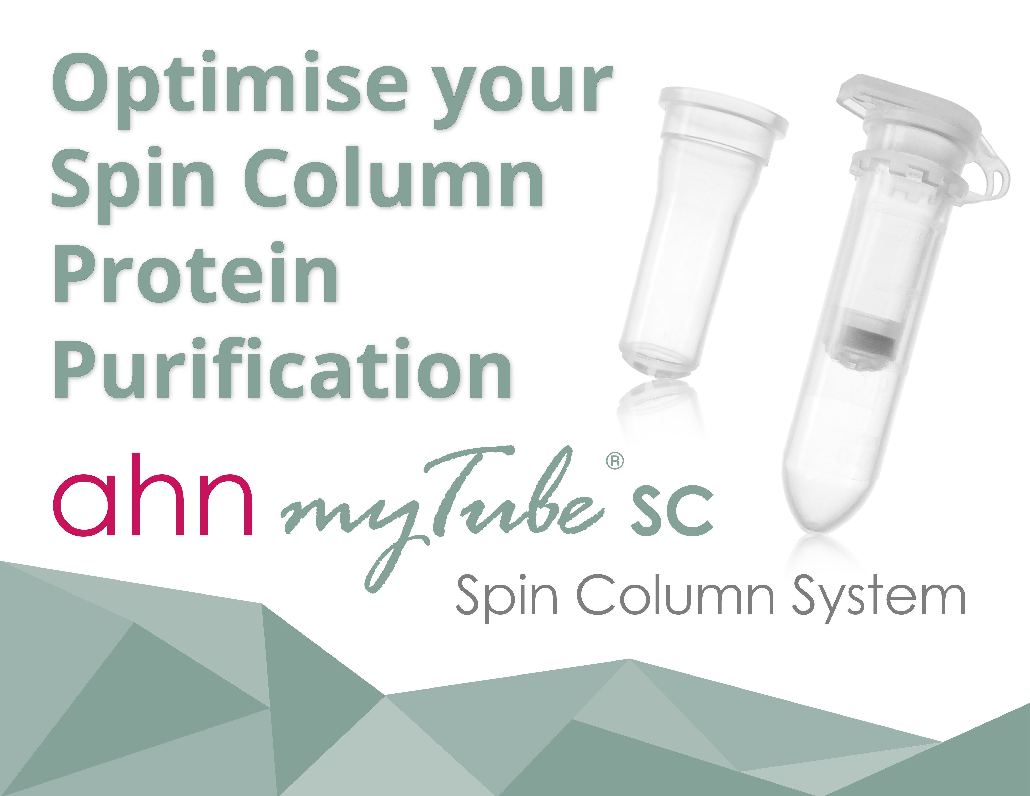 spin column protein purification